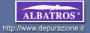 Albatross