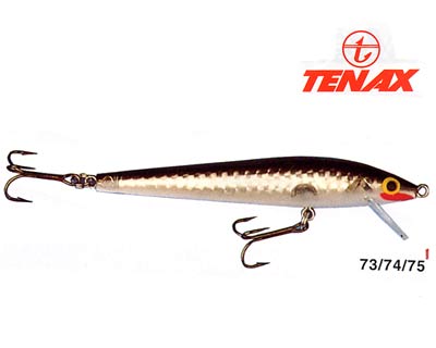 Pez Arco iris de 9 cm. Tenax Modelo 23